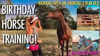 ТРЕНИРОВКА ЛОШАДЕЙ К моему ДНЮ РОЖДЕНИЯ // BARN VLOG #22