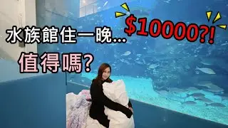 夜宿X PARK水族館前睡一晚!一個人一萬值得嗎?