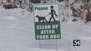 Dogs permitted at two town of Vestal parks for two month trial period