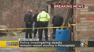 Woman Killed In Domestic-Related Shooting In Monongahela