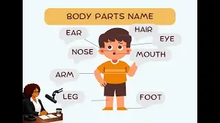 Body Parts Name in English and Hindi 👦🧠| DbyD