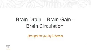Brain Drain - Brain Gain - Brain Circulation
