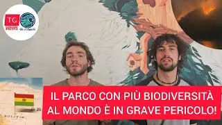 EMERGENZA NEL CUORE DEL PARCO MADIDI: BIODIVERSIA' MINACCIATA 🇧🇴 [SUB SPANISH 🇪🇸 AND ENGLISH🇺🇲]