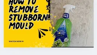 mould #cleaning toilet #windows mould cleaning #backside of curtains cleaning