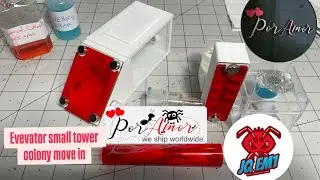 Por amor ants elevator ant farm tower