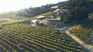 Aver Family Vineyards | Gilroy, CA