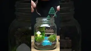 Making a Magic World in a Jar ✨