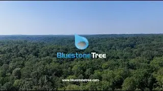 Bluestone Tree - Cut, Climb, and Clear 30