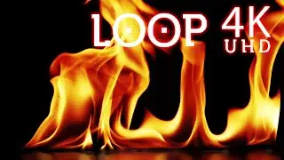 4k Fire Black Background Loop