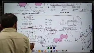 Biomolecules L-1, NCERT #neet #neetncert #ncertbiology #nta#neetbiology #biomolecules