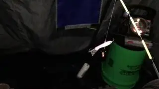 Hawg Outdoor Shanty Light