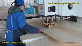 wood veneer knots repair machine plywood increase quality machine WA:+86-15963347203