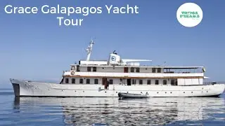 Grace Galapagos Yacht - Video Tour