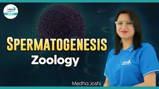 Spermatogenesis || Human Reproduction || Zoology - #NEET2024 || Infinity Learn NEET