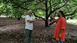Ganeshkhind Biodiversity Heritage Site, Pune