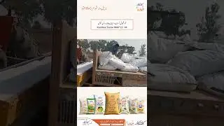 kashtkar fertilizer  #kashtkar #kashtkarfertilizer #fertilizer #DAP #MOP #MAP #Urea #Agriculture