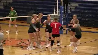 Reeds Spring Wolves Volleyball - 3rd Place