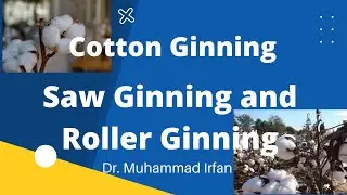 Cotton Picking and Cotton Ginning process: Saw Ginning and Roller Ginning