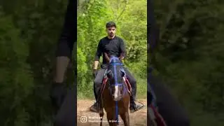 D&ouml;rtnala At Binmek | Binicilik #at #binicilik #arabianhorse