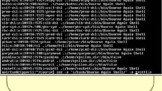 07  Unix Shell Scripting Tutorial   Text Processing Part 3)