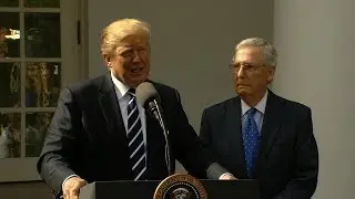 Trump, McConnell put on public display of unity in impromptu press conference