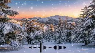 Acoustic Lofi for Study & Sleep 🍂 Sad Mandolin & Accordion Mix