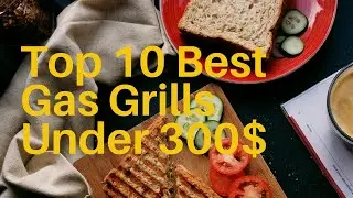 Top 10 Best Gas Grills Under 300 in 2021