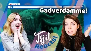 15 Angstaanjagende Dingen Onderwater! // Tsjil Reacts!