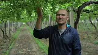 Uzbekistan Horticulture Buyers Tour 2019- sponsored by USAID