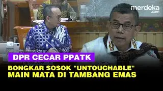 Keras Hinca DPR Cecar Bos PPATK Buka-bukaan Sosok 'Untouchable' Main Mata di Tambang Emas