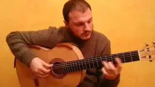 (GIULIANI) - GUITAR CONCERTO OP. 30 Part 1 - Flavio Sala, guitar