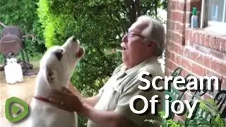 Listen to this pup literally scream in excitement when owner comes home