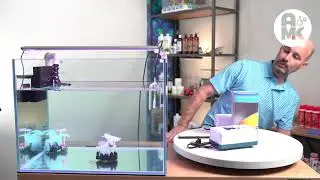 Viv Dissolved O2 Oxygen