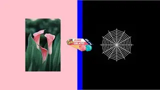 2024 MRE UNO D2 JUNE GELATO BAKLAVA REGIONAL FINAL: #6 Rana v. #8 Whitespider