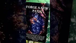 The forge a new path card from the Mystic Forest oracle deck #Readings #Work #Inspiration