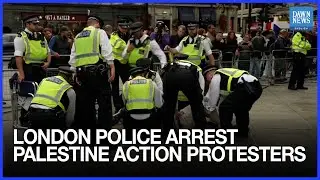 London Police Arrest Palestine Action Supporters at Trafalgar Square Protest After Synagogue Attack