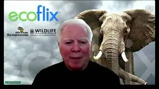 Ecoflix, David Casselman, CEO