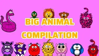 Animal Sounds Song Compilation 🦁🐶 | Best Nursery Rhymes for Kids | EmdikidsTv