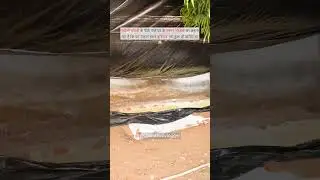 Chandausi Bavadi New Video | Chandausi Bawadi Ka Update | चंदौसी की बावड़ी का रहस्य #Shorts