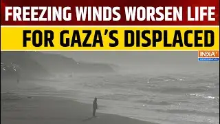 Gaza’s Displaced Palestinians Struggle Amid Harsh Winter Winds | World News | India TV English