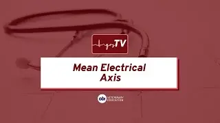 Mean Electrical Axis - qrsTV - Veterinary ECG Explained