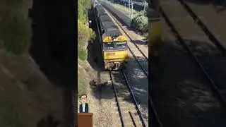 Hero Saves Dog Tied to Train Tracks &mdash; Seconds Before Impact! 🚨🐶#shorts #viralshorts #viralshort