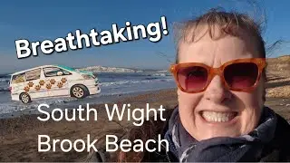 STUNNING SOUTH WIGHT #campervanningwithcavaliers #cavaliers #beach #scenic #drive #dogs #cavaliers