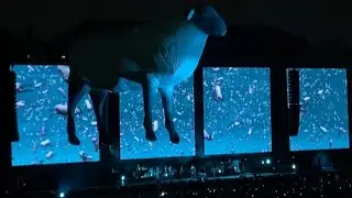 Sheep - Roger Waters en Chile 2023