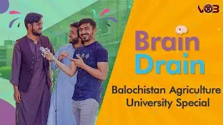 Brain Drain | Balochistan Agriculture University Special | Episode 30