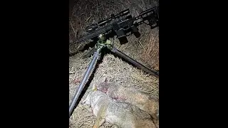 Sig Echo CV25 clipon thermal, Hand Calls, Asthma, & Chaos