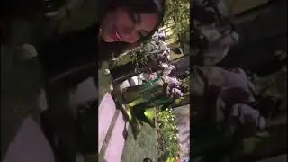 قريش فوز الفهد بحظور نخبه من الفنانين والمطربين وزفة فوز الفهد وعبداللطيف شيء رائع من الاخر 😍😍♥️