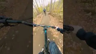 Epic Flow Trail!  #mtb
