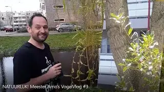 NATUURLIJK! Meester Arno's VogelVlog #3