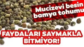 Bamya tohumu şifası evinize gelsin